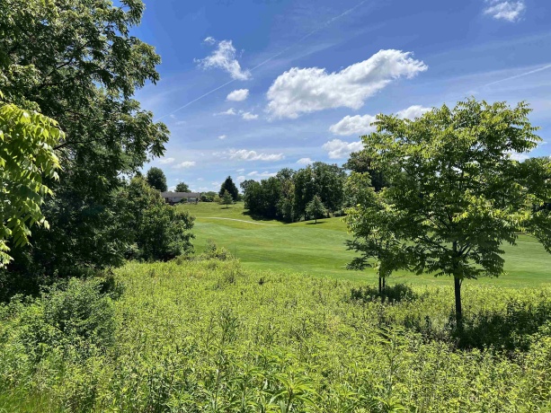 Lot 6 Galena Golf View Estates Phase lll, GALENA, Illinois 61036, ,Land,For Sale,Galena Golf View Estates Phase lll,202603905