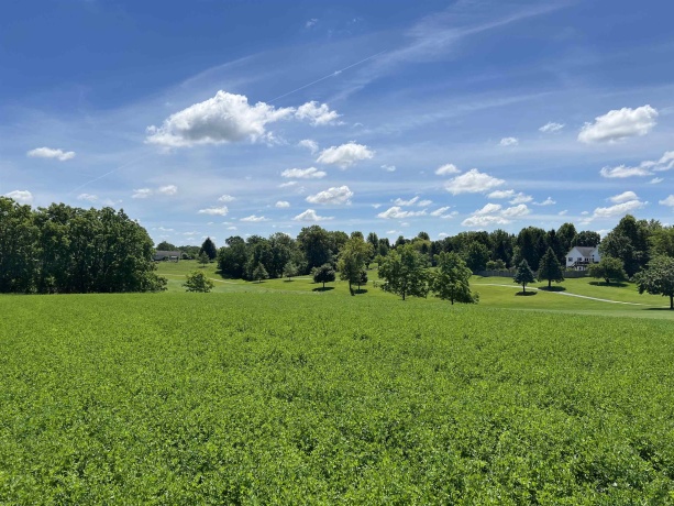 Lot 7 Galena Golf View Estates Phase lll, GALENA, Illinois 61036, ,Land,For Sale,Galena Golf View Estates Phase lll,202603906