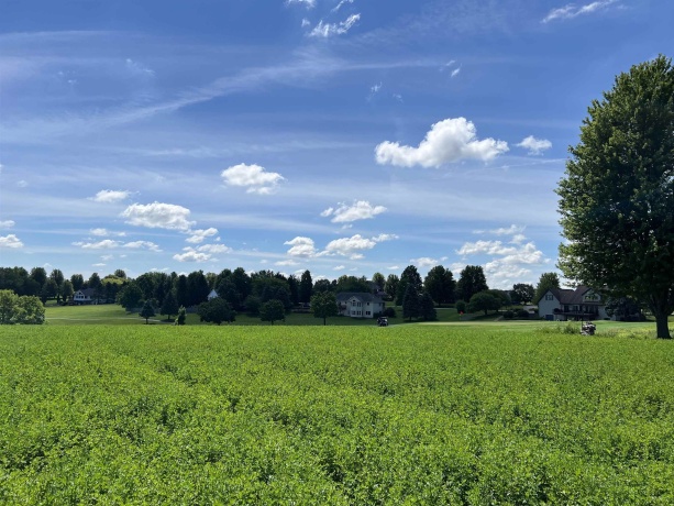 Lot 8 Galena Golf View Estates Phase lll, GALENA, Illinois 61036, ,Land,For Sale,Galena Golf View Estates Phase lll,202603907