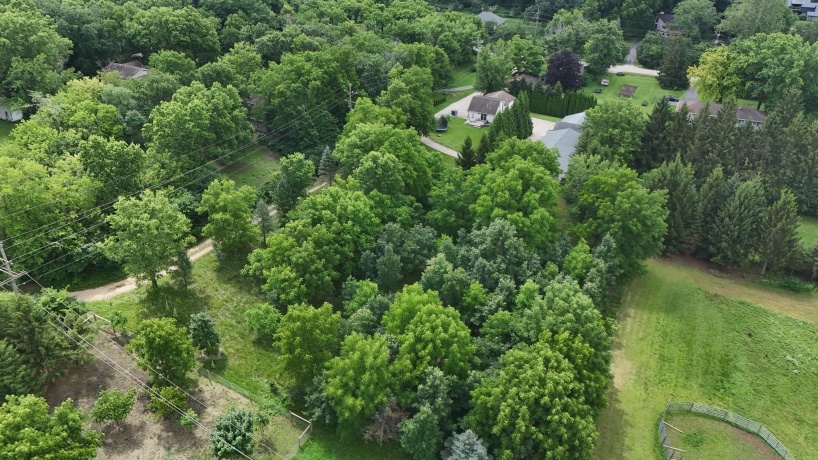 910 Stoney Point, DIXON, Illinois 61021, 4 Bedrooms Bedrooms, ,2 BathroomsBathrooms,House,For Sale,Stoney Point,202603920