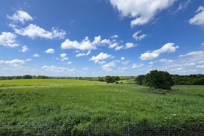 5320 Mist Flower, LOVES PARK, Illinois 61111, 2 Bedrooms Bedrooms, ,2 BathroomsBathrooms,Condominium,For Sale,Mist Flower,202603941