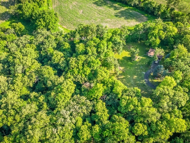 10279 Flory, LANARK, Illinois 61046, ,Land,For Sale,Flory,202603953