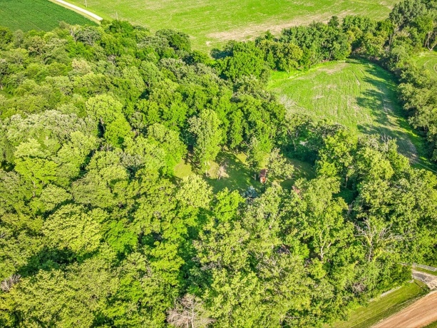 10279 Flory, LANARK, Illinois 61046, ,Land,For Sale,Flory,202603953