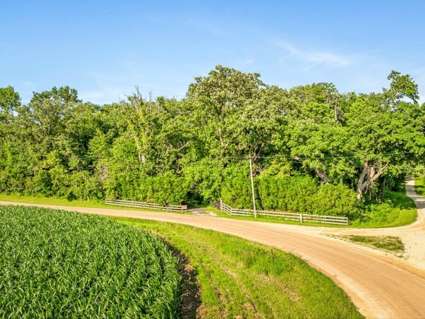 10279 Flory, LANARK, Illinois 61046, ,Land,For Sale,Flory,202603953