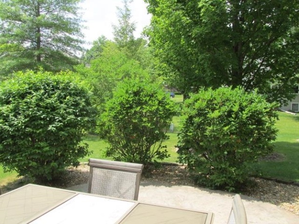 1052 Burke, FREEPORT, Illinois 61032, 4 Bedrooms Bedrooms, ,2 BathroomsBathrooms,House,For Sale,Burke,202603730