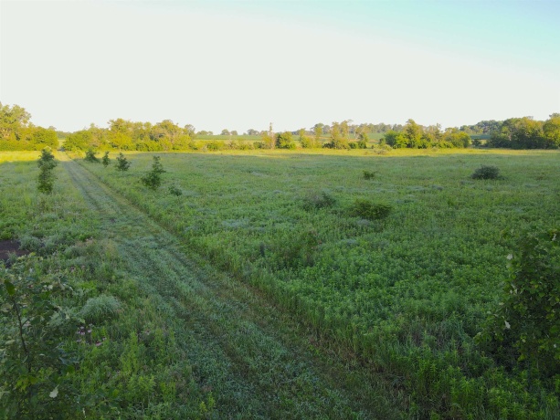 3618 Harper, EARLVILLE, Illinois 60518, ,Land,For Sale,Harper,202603975