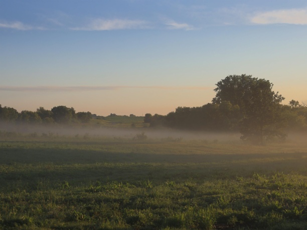 3618 Harper, EARLVILLE, Illinois 60518, ,Land,For Sale,Harper,202603975