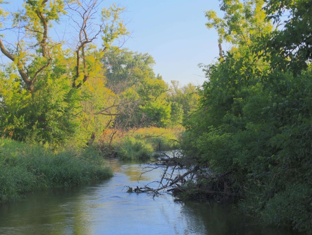 3618 Harper, EARLVILLE, Illinois 60518, ,Land,For Sale,Harper,202603975
