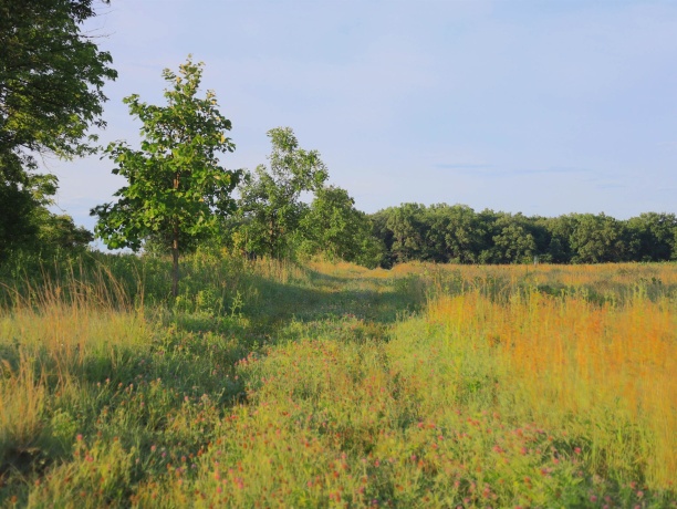 3618 Harper, EARLVILLE, Illinois 60518, ,Land,For Sale,Harper,202603975