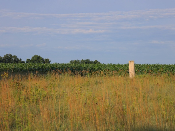 3618 Harper, EARLVILLE, Illinois 60518, ,Land,For Sale,Harper,202603975