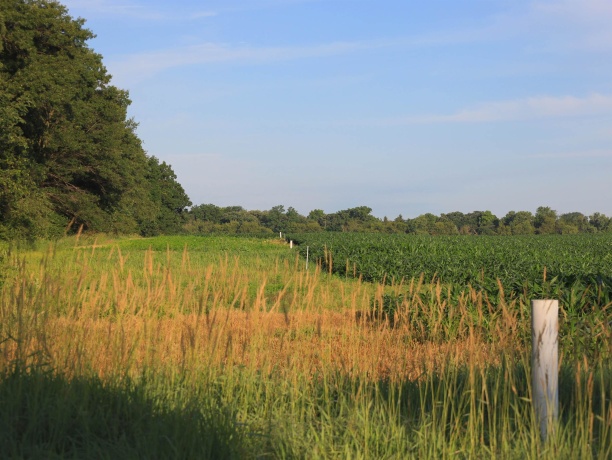3618 Harper, EARLVILLE, Illinois 60518, ,Land,For Sale,Harper,202603975