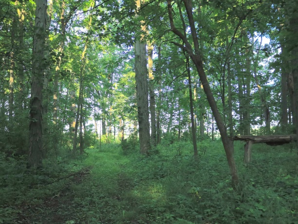 3618 Harper, EARLVILLE, Illinois 60518, ,Land,For Sale,Harper,202603975