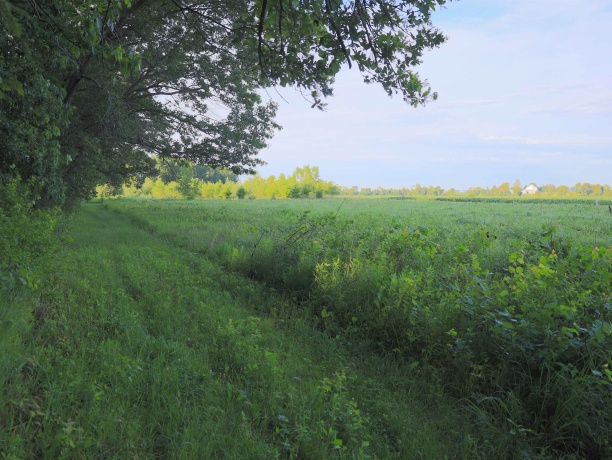 3618 Harper, EARLVILLE, Illinois 60518, ,Land,For Sale,Harper,202603975