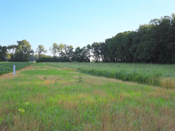 3618 Harper, EARLVILLE, Illinois 60518, ,Land,For Sale,Harper,202603975