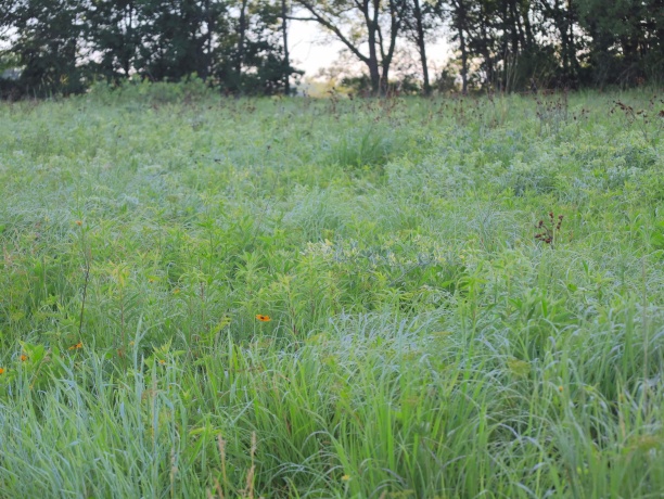 3618 Harper, EARLVILLE, Illinois 60518, ,Land,For Sale,Harper,202603975