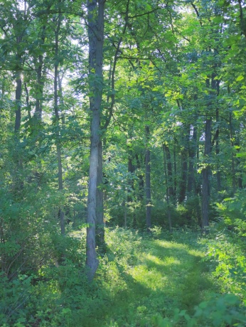 3618 Harper, EARLVILLE, Illinois 60518, ,Land,For Sale,Harper,202603975
