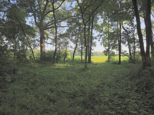 3618 Harper, EARLVILLE, Illinois 60518, ,Land,For Sale,Harper,202603975