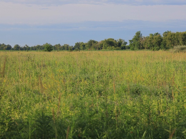 3618 Harper, EARLVILLE, Illinois 60518, ,Land,For Sale,Harper,202603975
