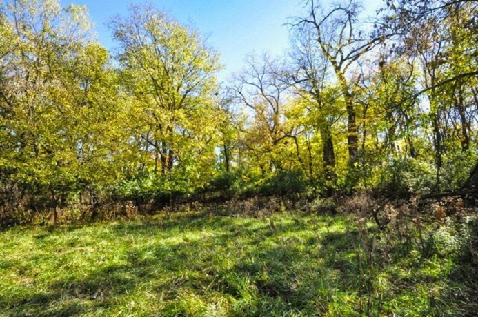710 Short, Streator, Illinois 61364, 3 Bedrooms Bedrooms, ,1 BathroomBathrooms,House,For Sale,Short,202603978