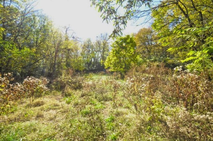710 Short, Streator, Illinois 61364, 3 Bedrooms Bedrooms, ,1 BathroomBathrooms,House,For Sale,Short,202603978