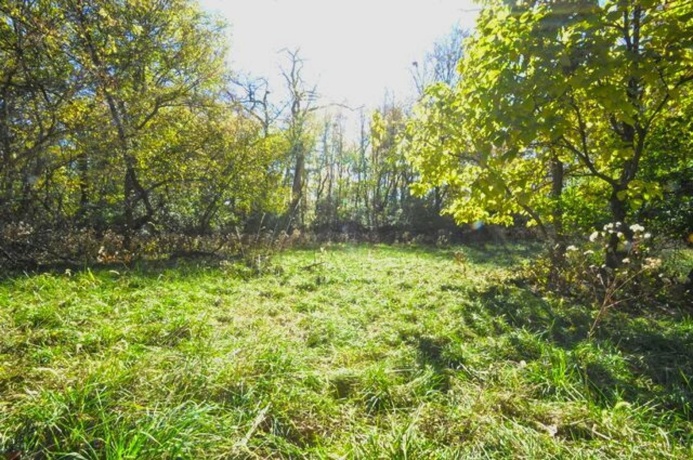 710 Short, Streator, Illinois 61364, 3 Bedrooms Bedrooms, ,1 BathroomBathrooms,House,For Sale,Short,202603978