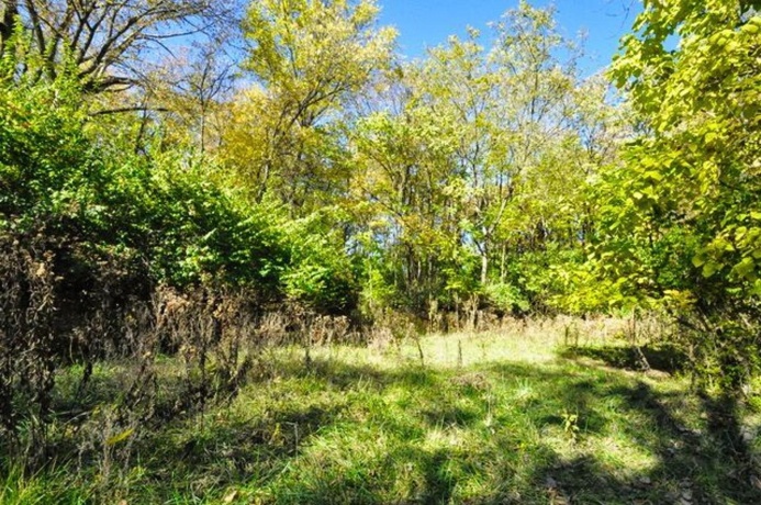 710 Short, Streator, Illinois 61364, 3 Bedrooms Bedrooms, ,1 BathroomBathrooms,House,For Sale,Short,202603978