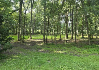 000 Orchid, OREGON, Illinois 61061, ,Land,For Sale,Orchid,202603981