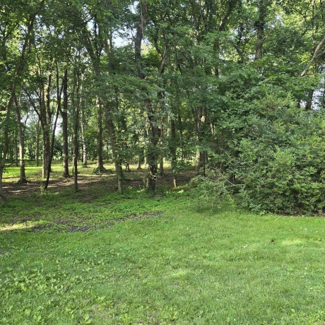 000 Orchid, OREGON, Illinois 61061, ,Land,For Sale,Orchid,202603981