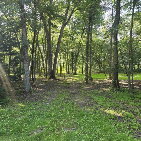000 Orchid, OREGON, Illinois 61061, ,Land,For Sale,Orchid,202603981