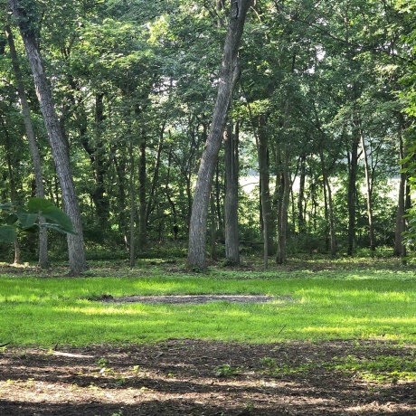 000 Orchid, OREGON, Illinois 61061, ,Land,For Sale,Orchid,202603981