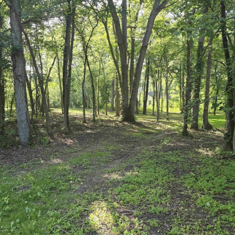 000 Orchid, OREGON, Illinois 61061, ,Land,For Sale,Orchid,202603981
