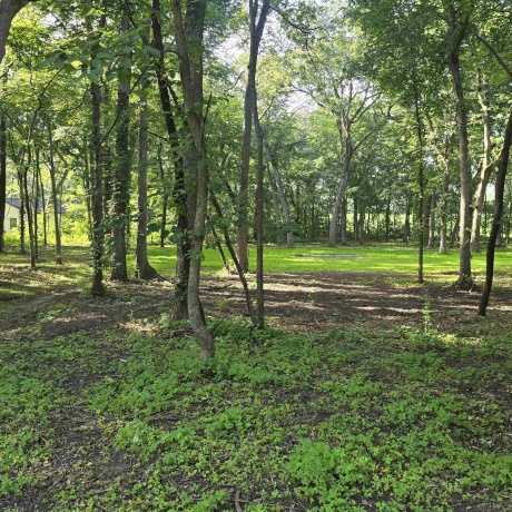 000 Orchid, OREGON, Illinois 61061, ,Land,For Sale,Orchid,202603981