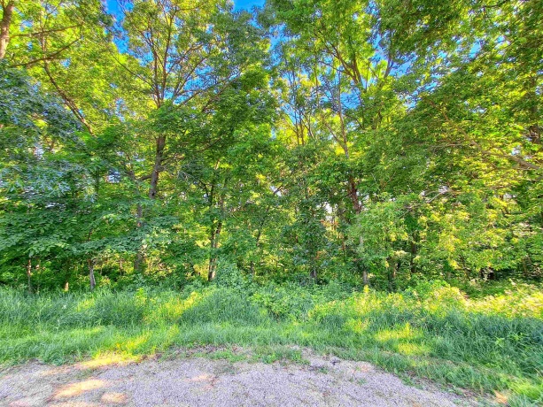 16-31 & 16-32 Elmhurst, LAKE CARROLL, Illinois 61046, ,Land,For Sale,Elmhurst,202604019