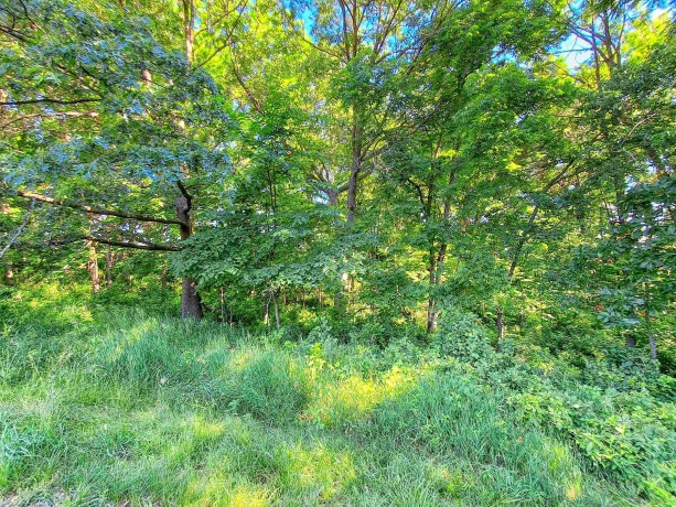 16-31 & 16-32 Elmhurst, LAKE CARROLL, Illinois 61046, ,Land,For Sale,Elmhurst,202604019