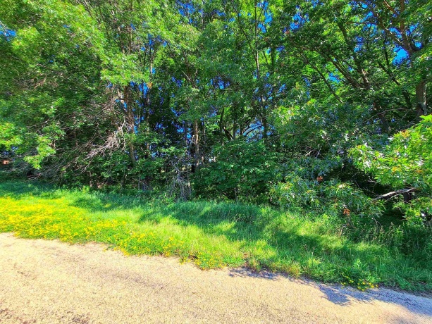 16-31 & 16-32 Elmhurst, LAKE CARROLL, Illinois 61046, ,Land,For Sale,Elmhurst,202604019