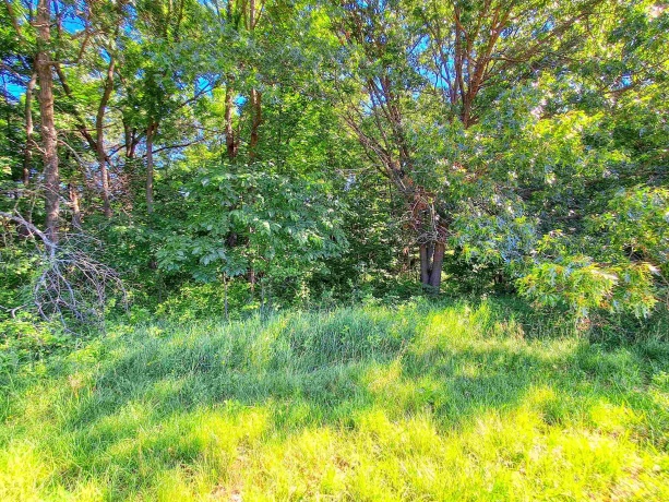 16-31 & 16-32 Elmhurst, LAKE CARROLL, Illinois 61046, ,Land,For Sale,Elmhurst,202604019