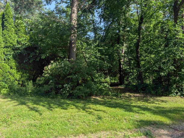 2145 Hawthorne, LAKE SUMMERSET, Illinois 61019, ,Land,For Sale,Hawthorne,202604022