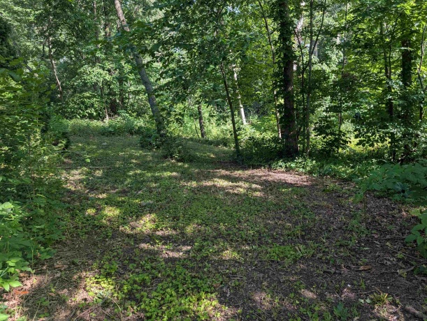 2145 Hawthorne, LAKE SUMMERSET, Illinois 61019, ,Land,For Sale,Hawthorne,202604022