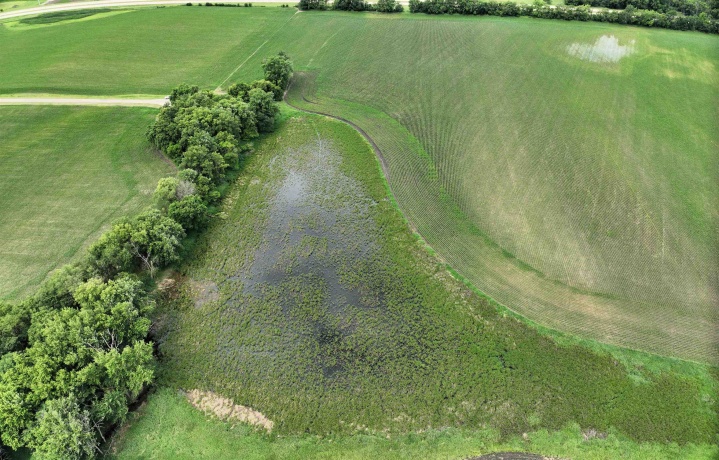 89.14 Acres Smokey Hollow, FREEPORT, Illinois 61032, ,Land,For Sale,Smokey Hollow,202604034
