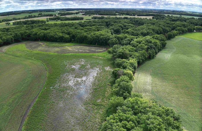 89.14 Acres Smokey Hollow, FREEPORT, Illinois 61032, ,Land,For Sale,Smokey Hollow,202604034