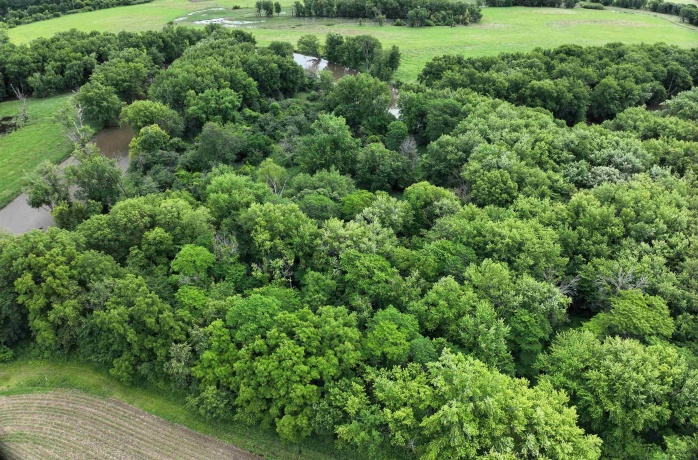 89.14 Acres Smokey Hollow, FREEPORT, Illinois 61032, ,Land,For Sale,Smokey Hollow,202604034