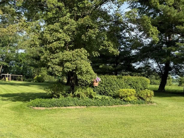 3899 WELDON, WINNEBAGO, Illinois 61088, 3 Bedrooms Bedrooms, ,2 BathroomsBathrooms,House,For Sale,WELDON,202604070