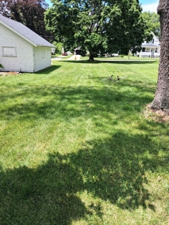 811 Burchard, FREEPORT, Illinois 61032, 3 Bedrooms Bedrooms, ,1 BathroomBathrooms,House,For Sale,Burchard,202604133