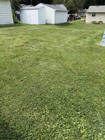 310 Stewart, FREEPORT, Illinois 61032, 3 Bedrooms Bedrooms, ,1 BathroomBathrooms,House,For Sale,Stewart,202604227