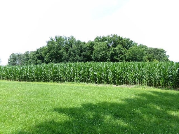 10006 Spring, GARDEN PRAIRIE, Illinois 61038, 1 Bedroom Bedrooms, ,1 BathroomBathrooms,House,For Sale,Spring,202604234