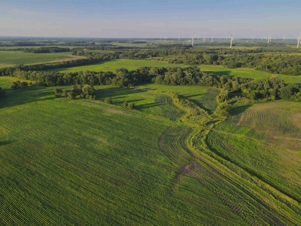 000 Todd, OHIO, Illinois 61349, ,Land,For Sale,Todd,202604239