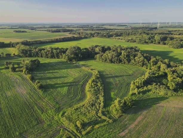 000 Todd, OHIO, Illinois 61349, ,Land,For Sale,Todd,202604239