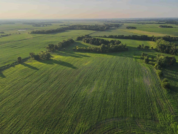 000 Todd, OHIO, Illinois 61349, ,Land,For Sale,Todd,202604239
