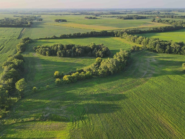 000 Todd, OHIO, Illinois 61349, ,Land,For Sale,Todd,202604239