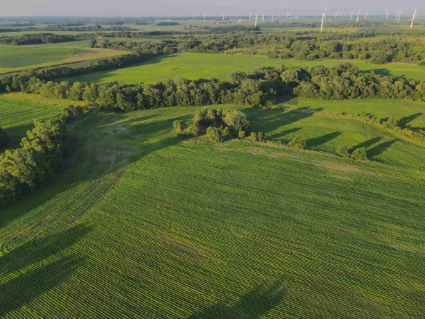 000 Todd, OHIO, Illinois 61349, ,Land,For Sale,Todd,202604239